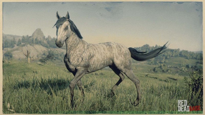 Ахалтекинская лошадь Red Dead