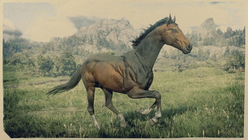 Red Dead Redemption 2 Ахалтекинская