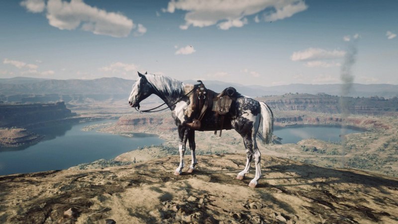 Миссури Фокс Троттер rdr