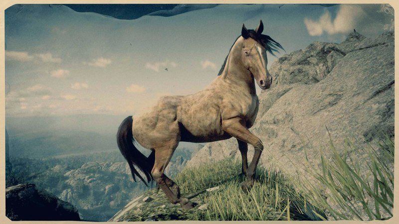Миссури Фокс Троттер rdr 2