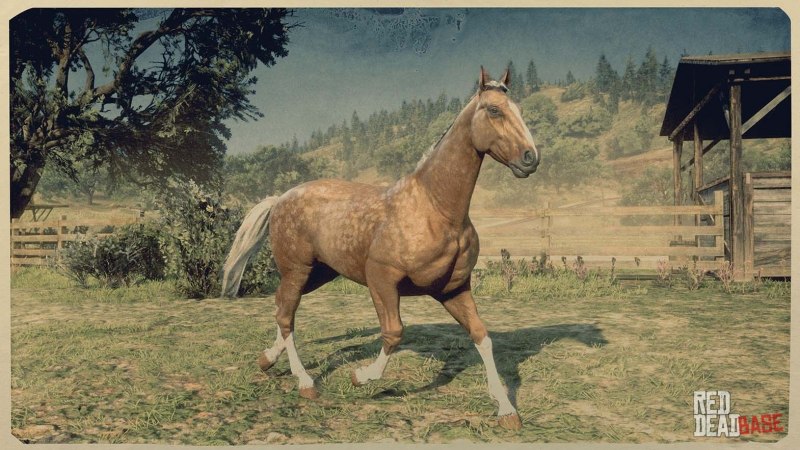 Rdr 2 Ахалтекинская лошадь