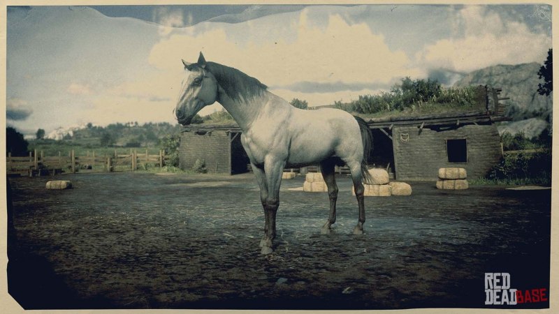 Red Dead Redemption 2 Ахалтекинская лошадь
