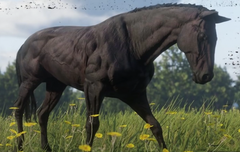 Ван Хорн rdr 2