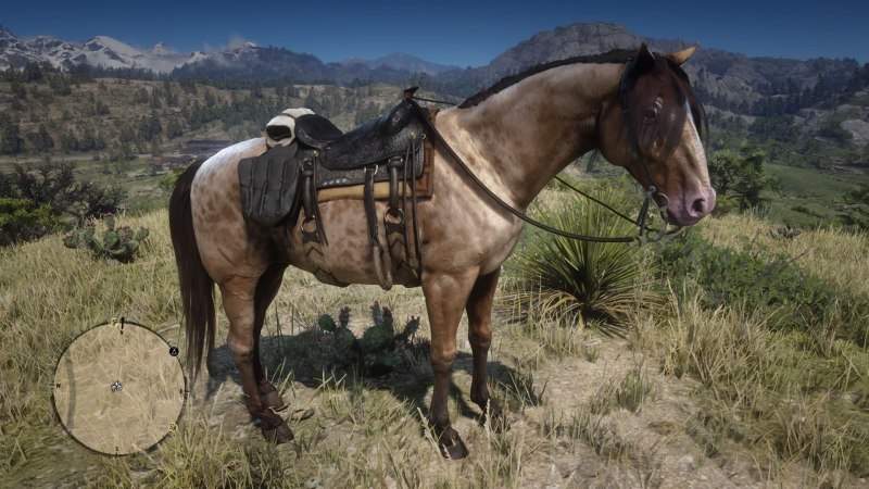 Миссури Фокс Троттер Red Dead Redemption 2