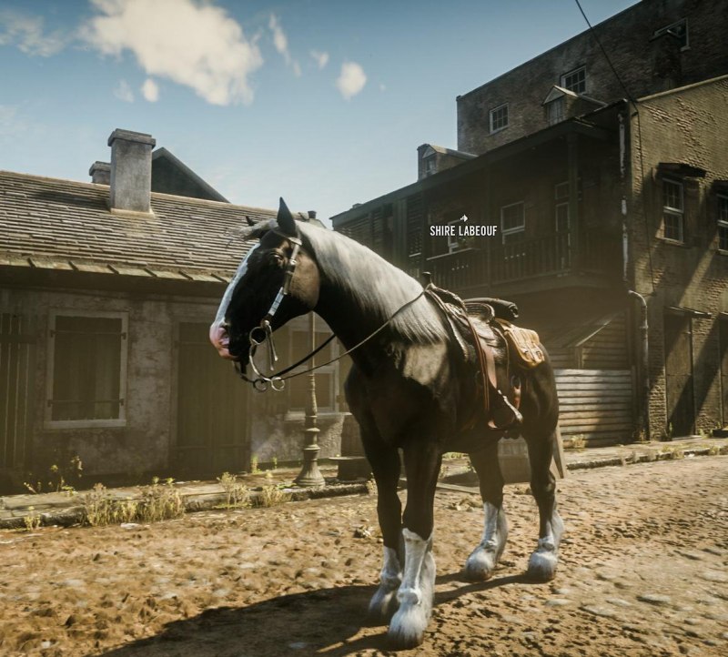 Вороная Шайр в rdr 2