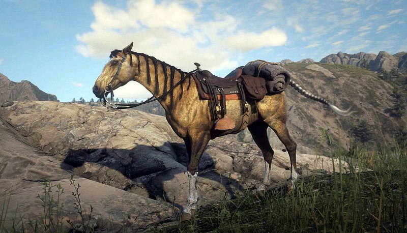 Бичерс Хоуп rdr 2