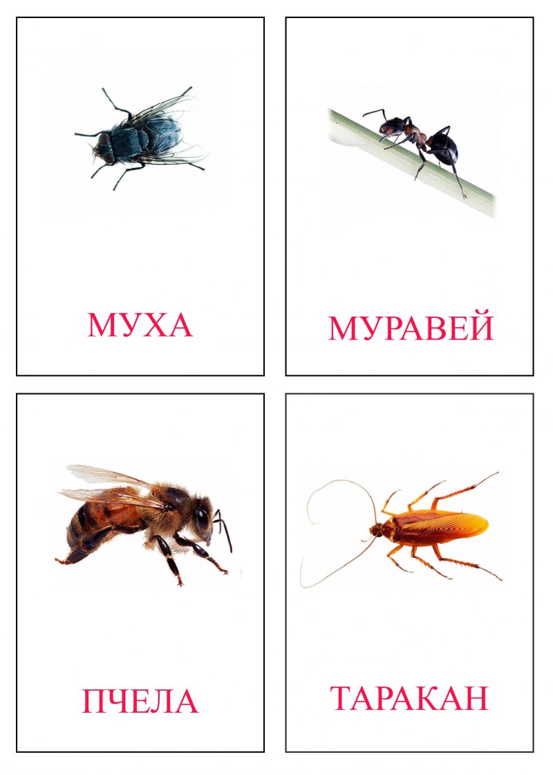 Стрекоза маска для детей