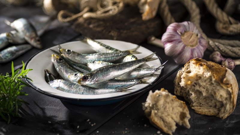 Скумбрия, сельдь и сардина