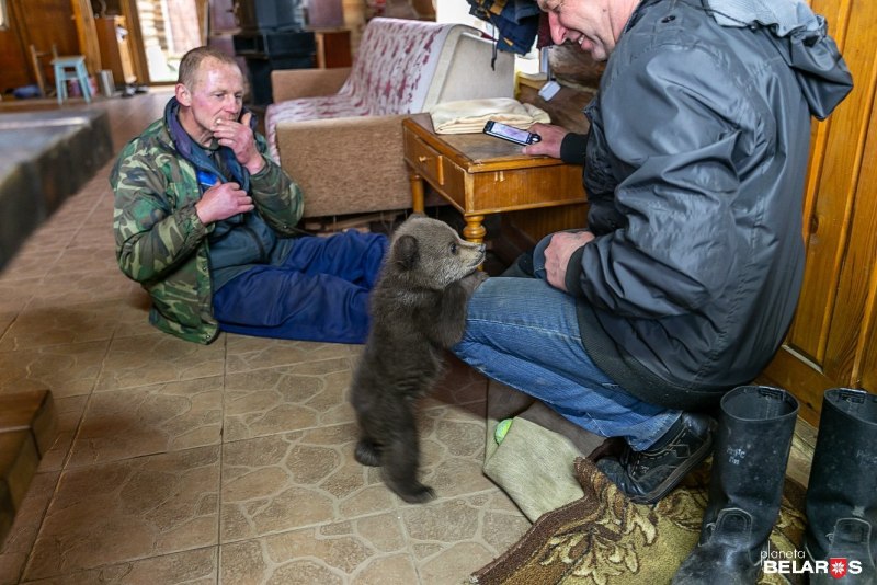 С днем России фото с медведем