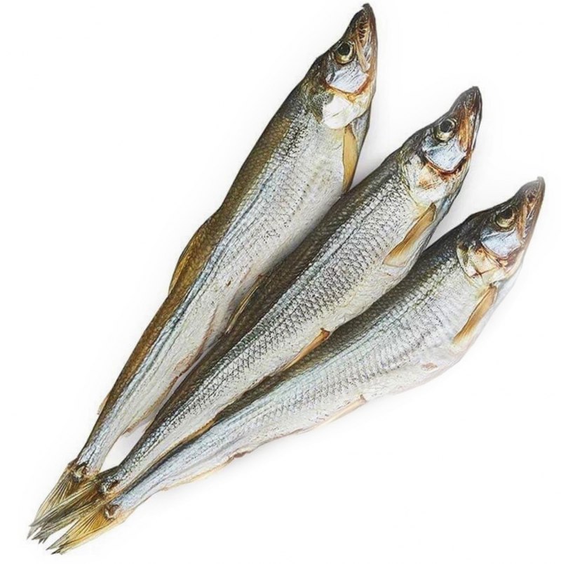 Корюшка PNG