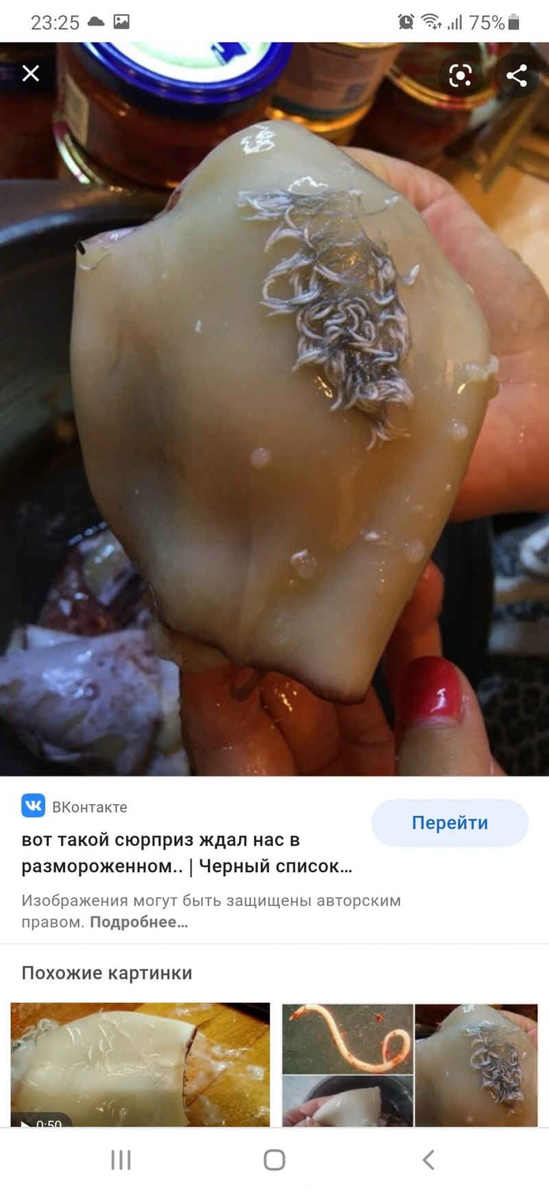 Рыба Мичман внутри кальмара