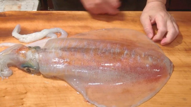 Mare кальмар
