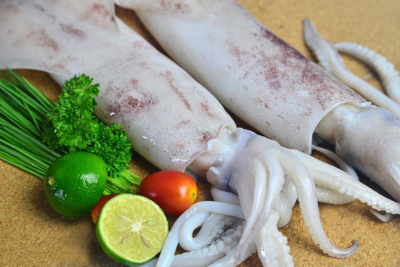 Кальмар морепродукт