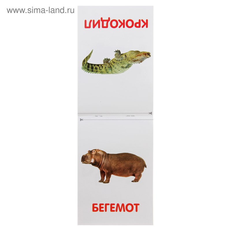 Карточки Домана животные со звуками