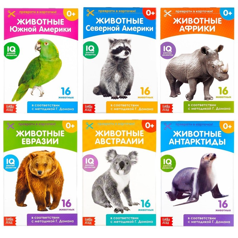 Енот карточка для детей