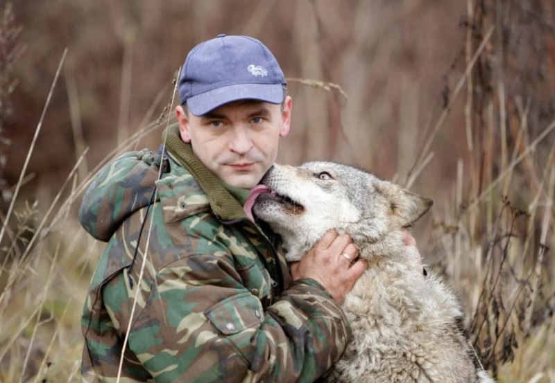 Ручной волк