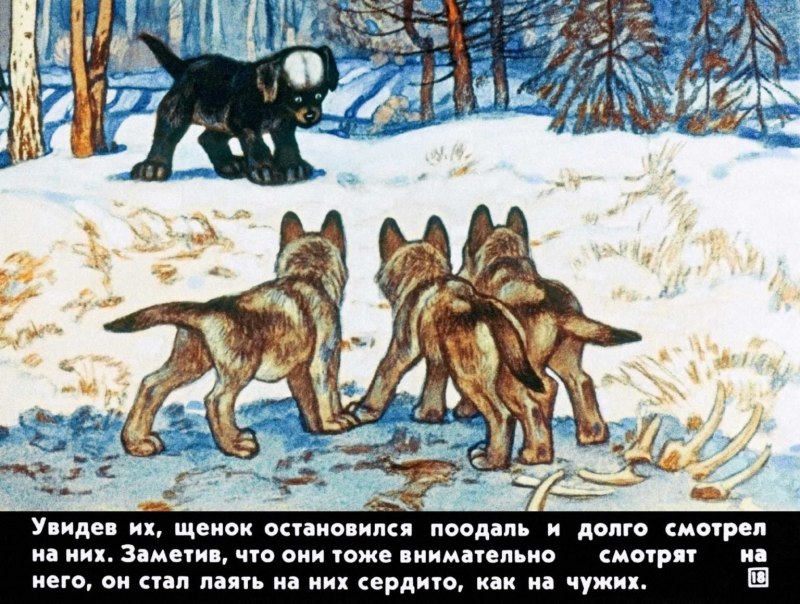 Саранча зеленая