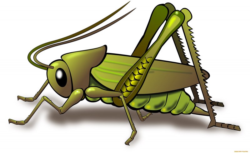 Grasshopper («кузнечик», 1946).