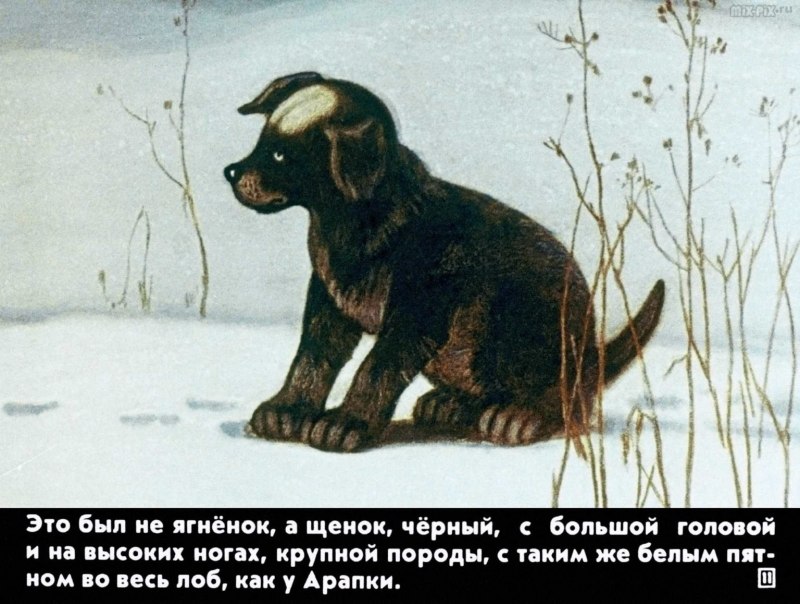 Белолобый Гусь Пушкин