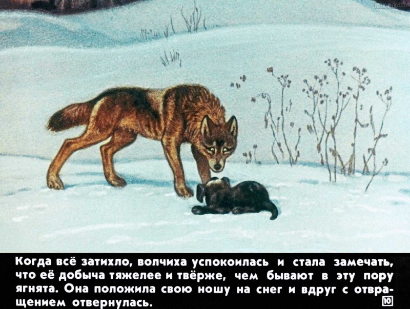 Ложнолист кузнечик