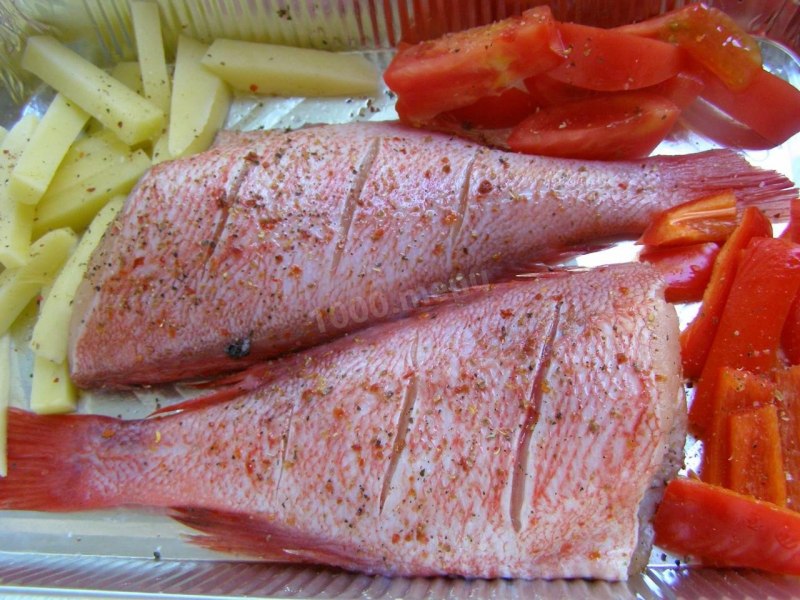 Клюворылый морской окунь