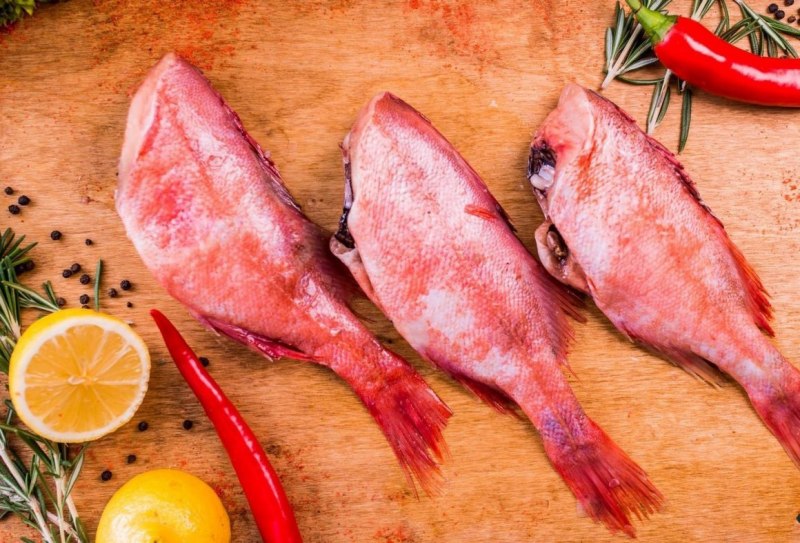 Северный морской окунь