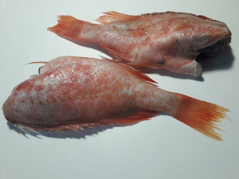 Морская рыба для еды