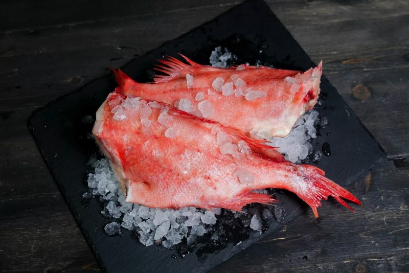 Окунь морской клювач