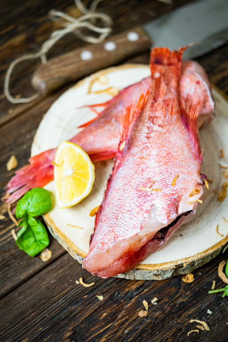 Окунь морской клювач