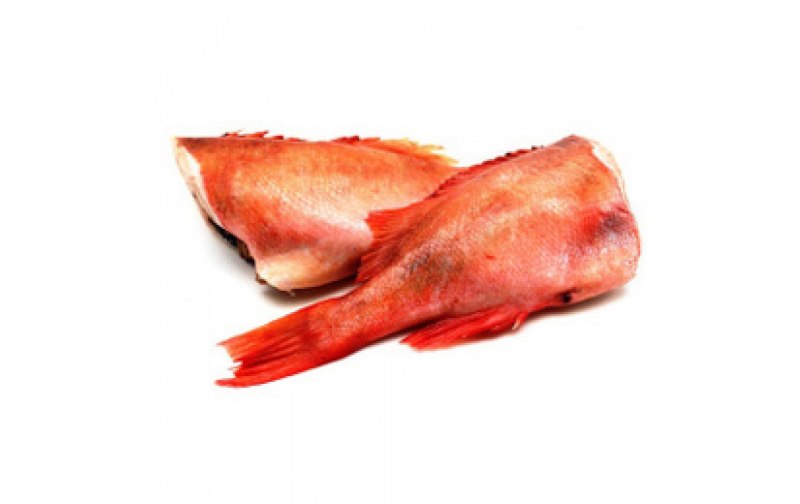Окунь морской красный