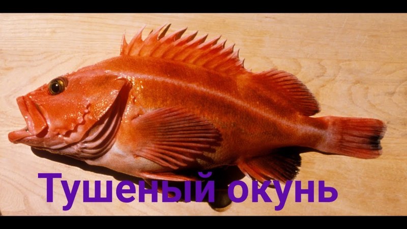 Дальневосточный морской окунь