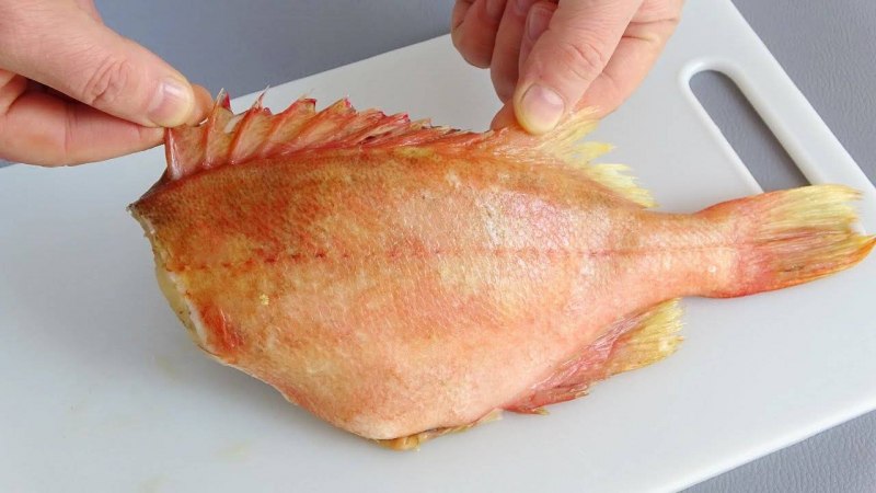 Морской окунь Боккаччо