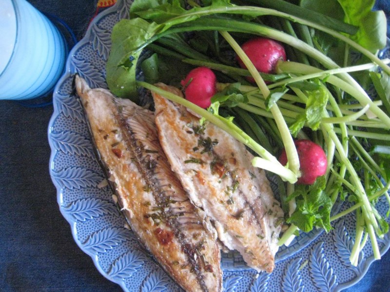 Рыба скумбрия свежемороженая