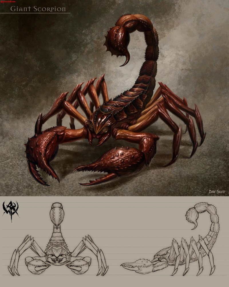 Палестинский Скорпион генурис