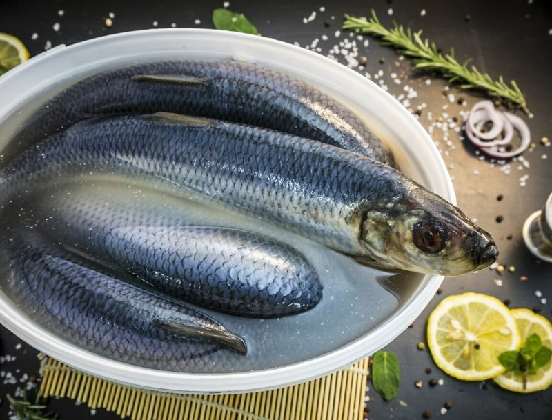 Сельдь Тихоокеанская олюторская