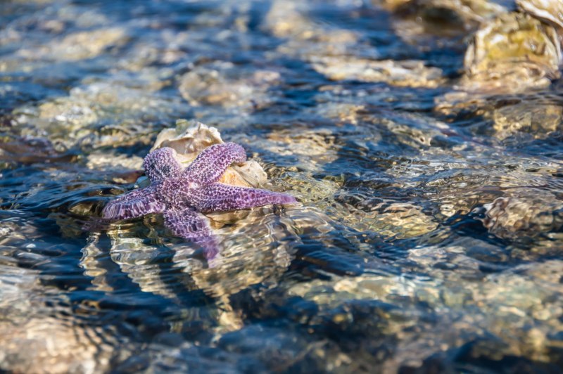 Фото колокола на набережной Комсомольска на Амуре рисунок