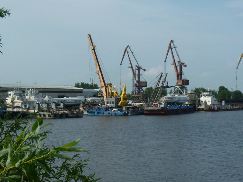Рыбы на Амуре Хабаровского края