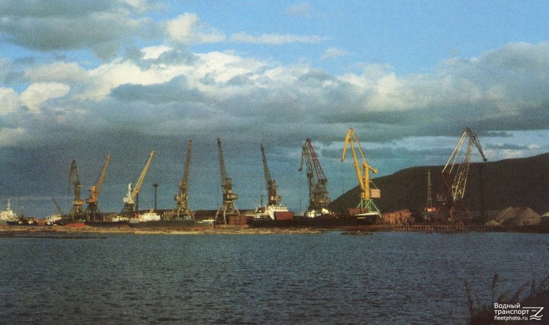 Подводный мир морская звезда