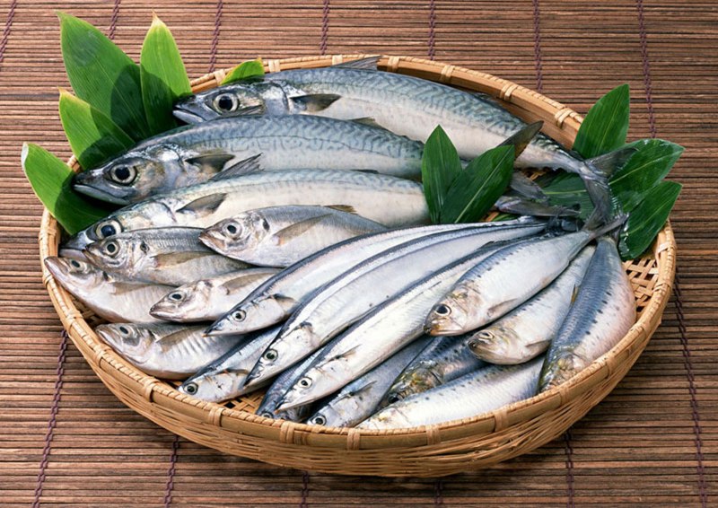 Сельдь Иваси морская рыба