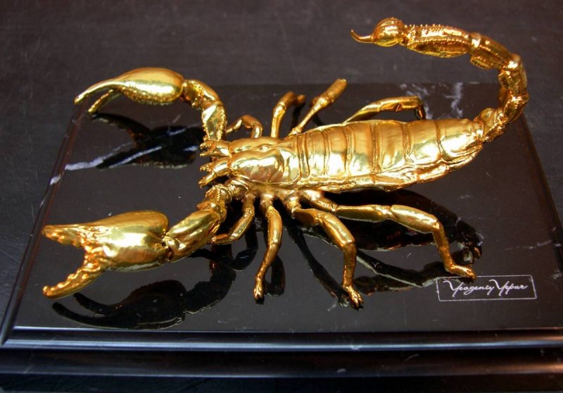 Heterometrus cyaneus