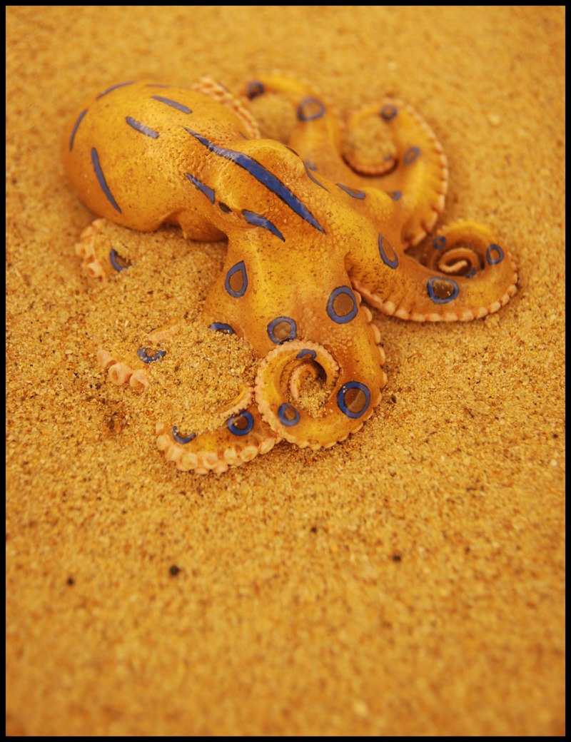 Желтый осьминог (55 фото)