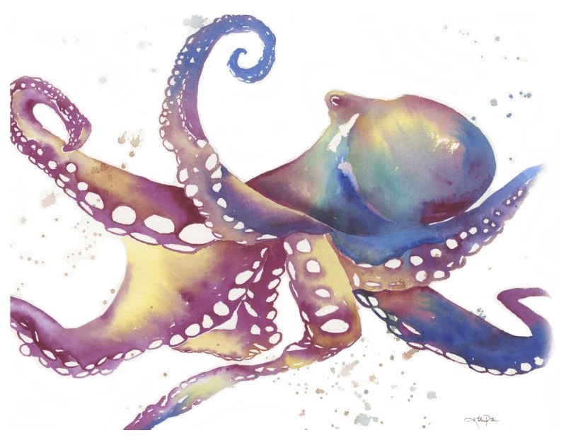 Гигантский осьминог (Enteroctopus dofleini)