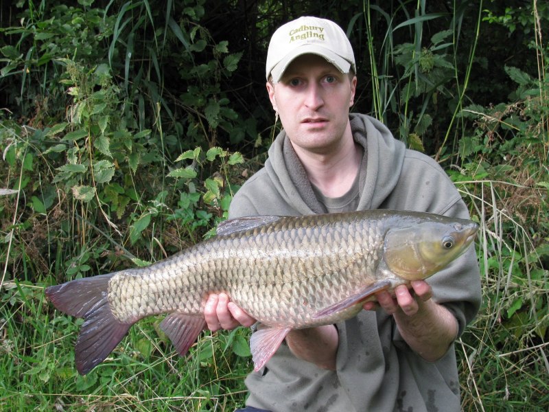 Сазан (Cyprinus Carpio)