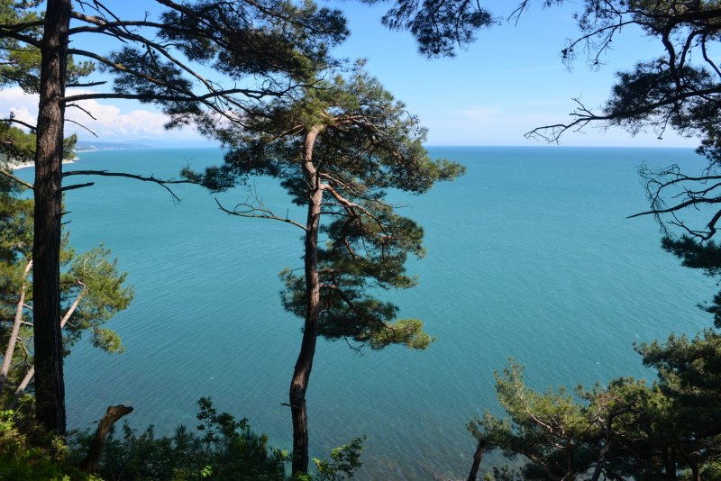 Посёлок Бетта Геленджик