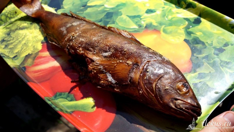 Дальневосточный морской окунь