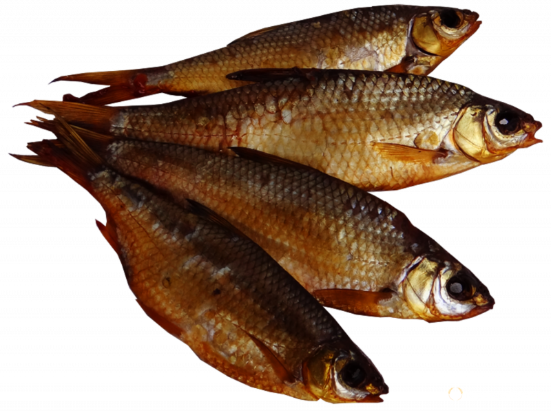 Озерная форель (Радужная, кумжа)