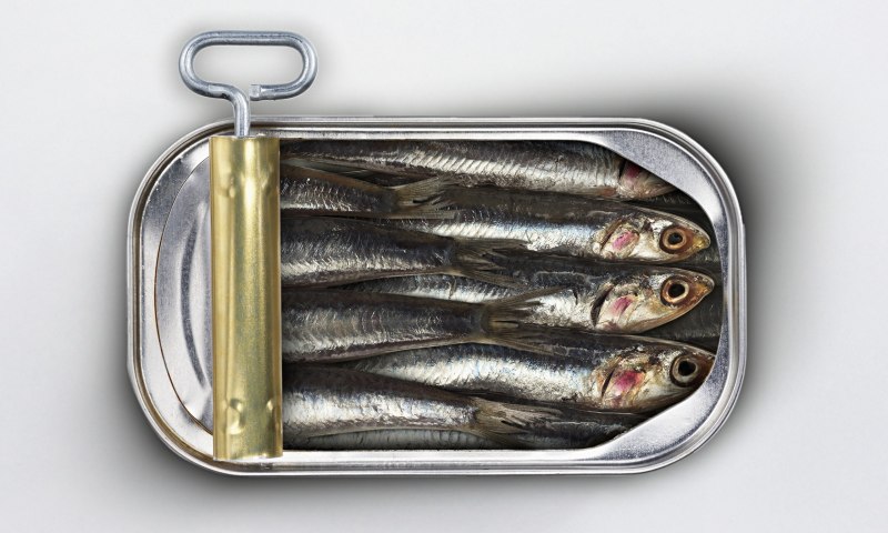 Sardines консервы