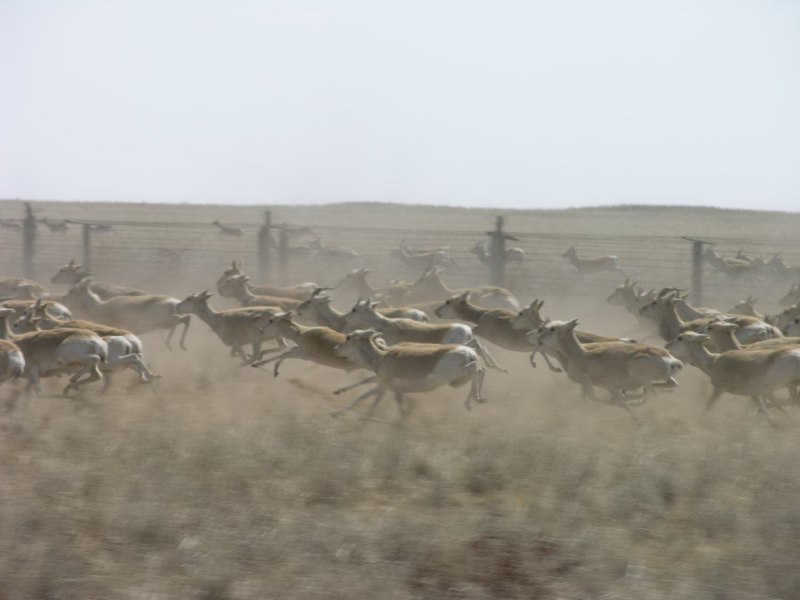 Дзерен фото забайкалье