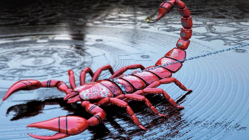 Скорпион возле воды