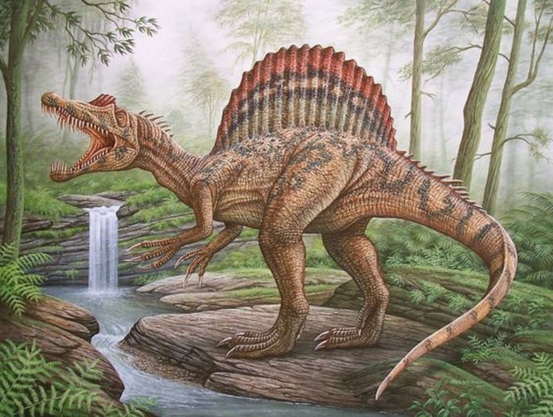 Динозавр спинозавр (55 фото)